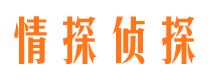 邗江市私家侦探